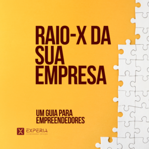 RAIO-X DA SUA EMPRESA